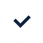 basic windshield warranty