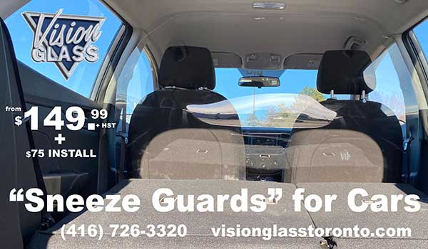 sneeze guards for cars