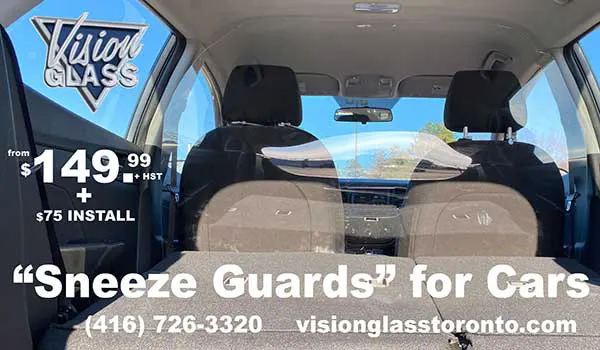 sneeze guards for cars 